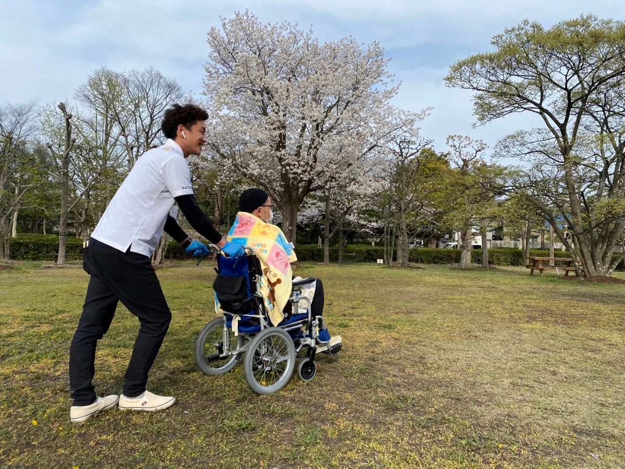 桜の下で車いすのお出かけをお手伝いする、ひよこCARE TAXIのスタッフ